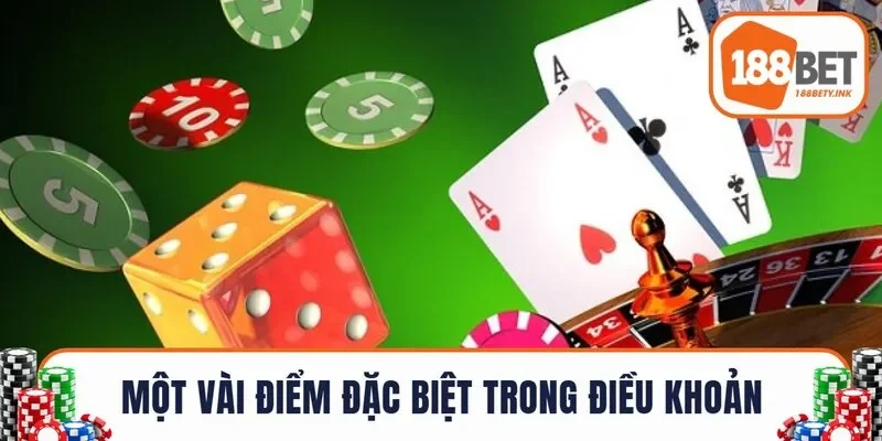 Một vài điểm đặc biệt trong các điều khoản