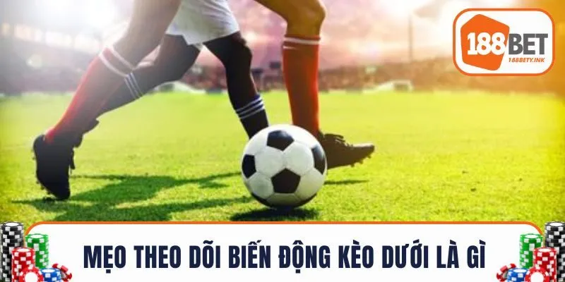 Mẹo theo dõi biến động kèo dưới là gì?
