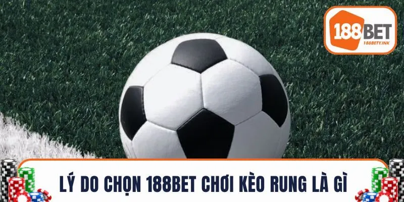 Lý do chọn 188BET chơi kèo rung chuẩn